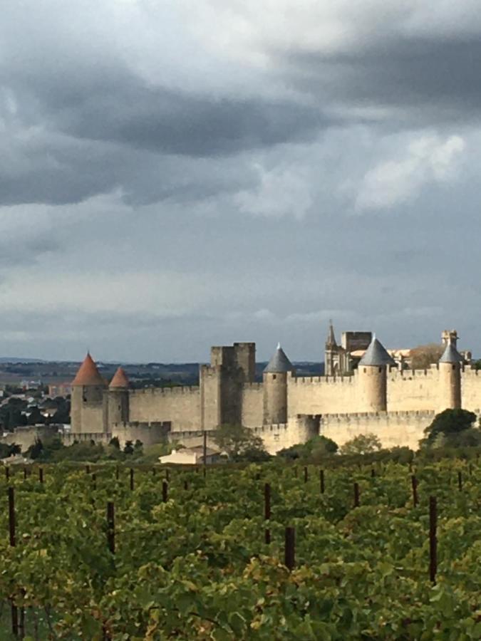 Les Orchidées Carcasona